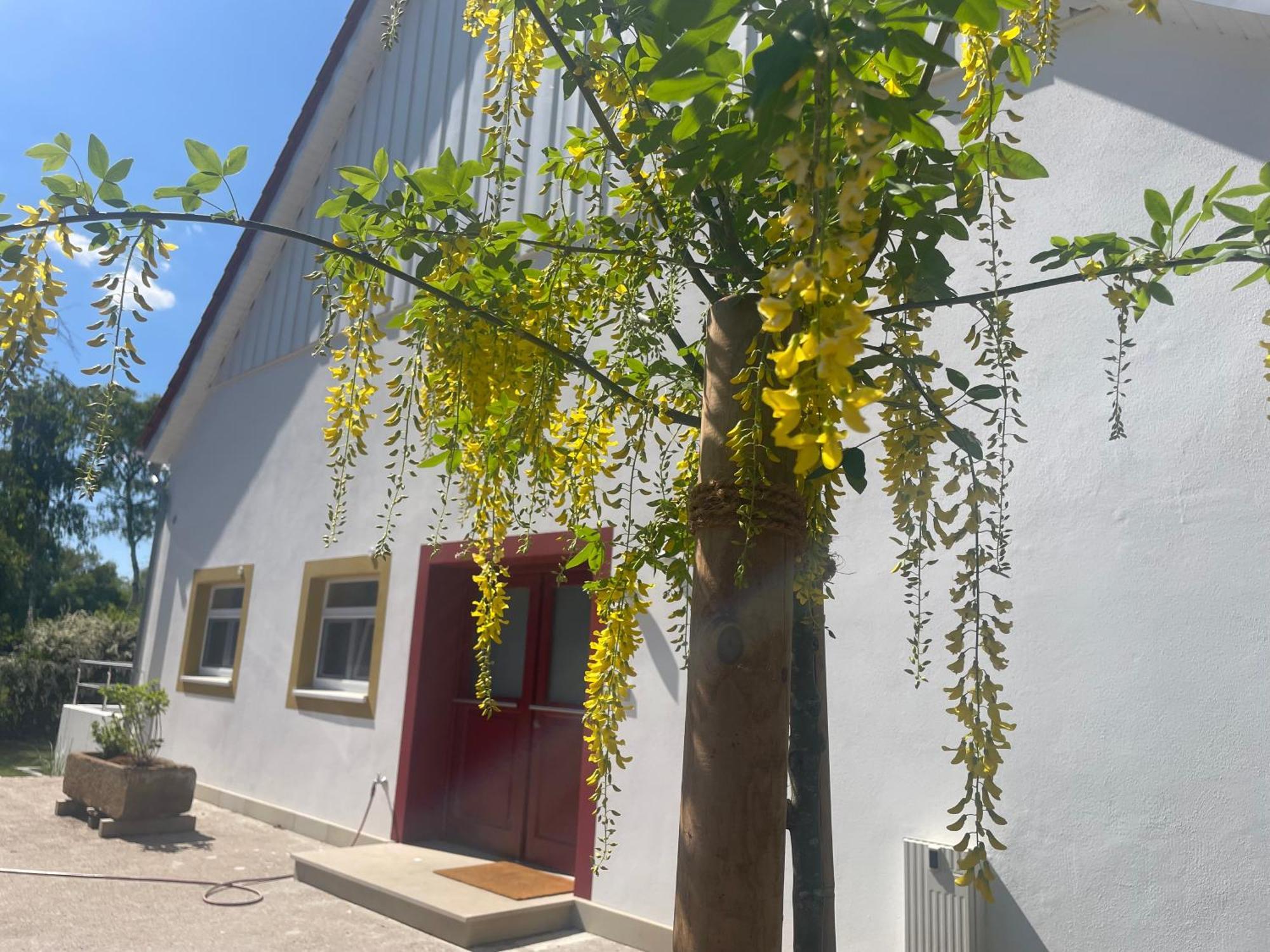 Appartement Mit 2 Schlafzimmern Und Terrasse Halle  Exterior foto